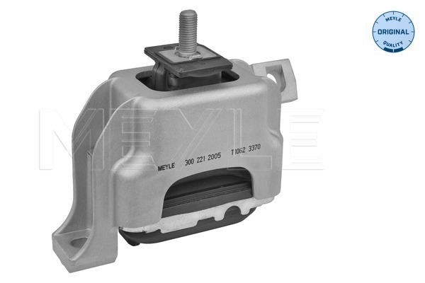 Meyle Motorsteun 300 221 2005