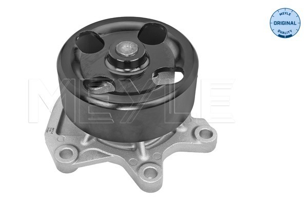 Meyle Waterpomp 36-13 220 0018