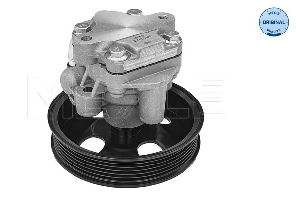 Meyle Servopomp 37-14 631 0017