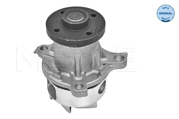 Meyle Waterpomp 39-13 220 0005