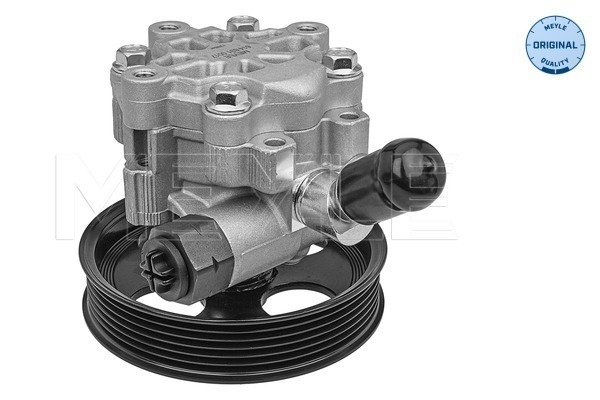 Meyle Servopomp 614 631 0017