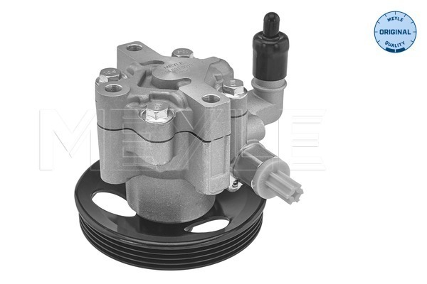 Meyle Servopomp 614 631 0019