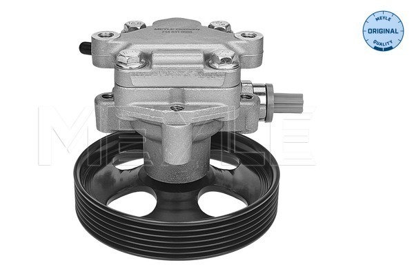 Meyle Servopomp 714 631 0028