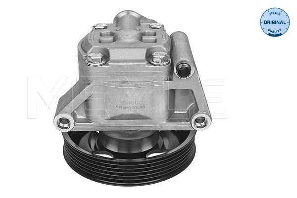 Meyle Servopomp 714 631 0029