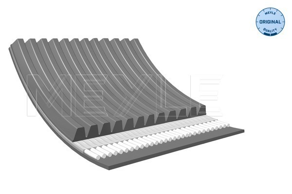 Poly V-riem Meyle 050 012 1815