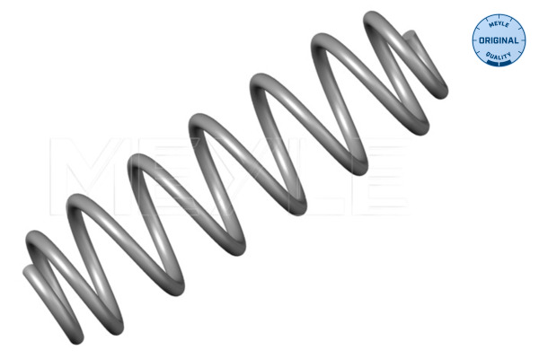 Veer Meyle 100 739 0006