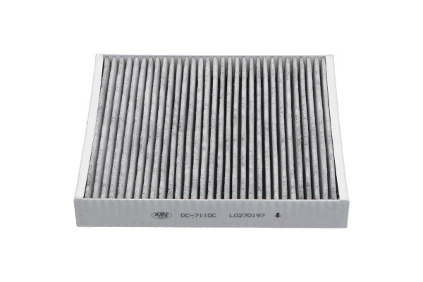 AMC Filter Interieurfilter DC-7110C