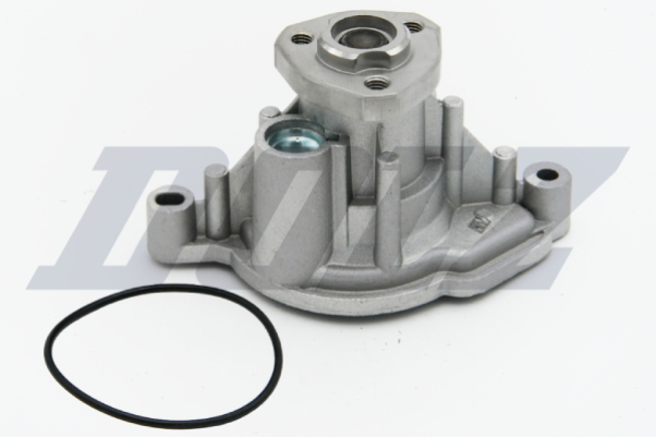 Waterpomp Dolz A219