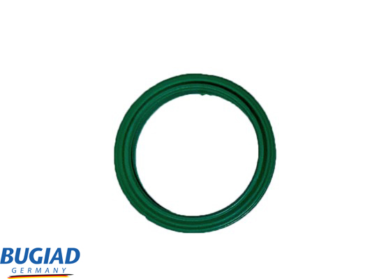 Laadluchtslang Bugiad 82568