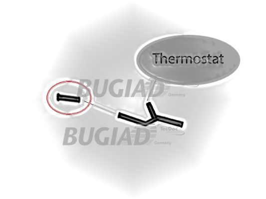 Bugiad Laadlucht-/turboslang 88697