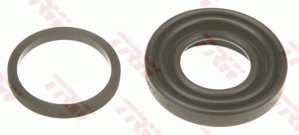 Remklauw revisie TRW SJ1245
