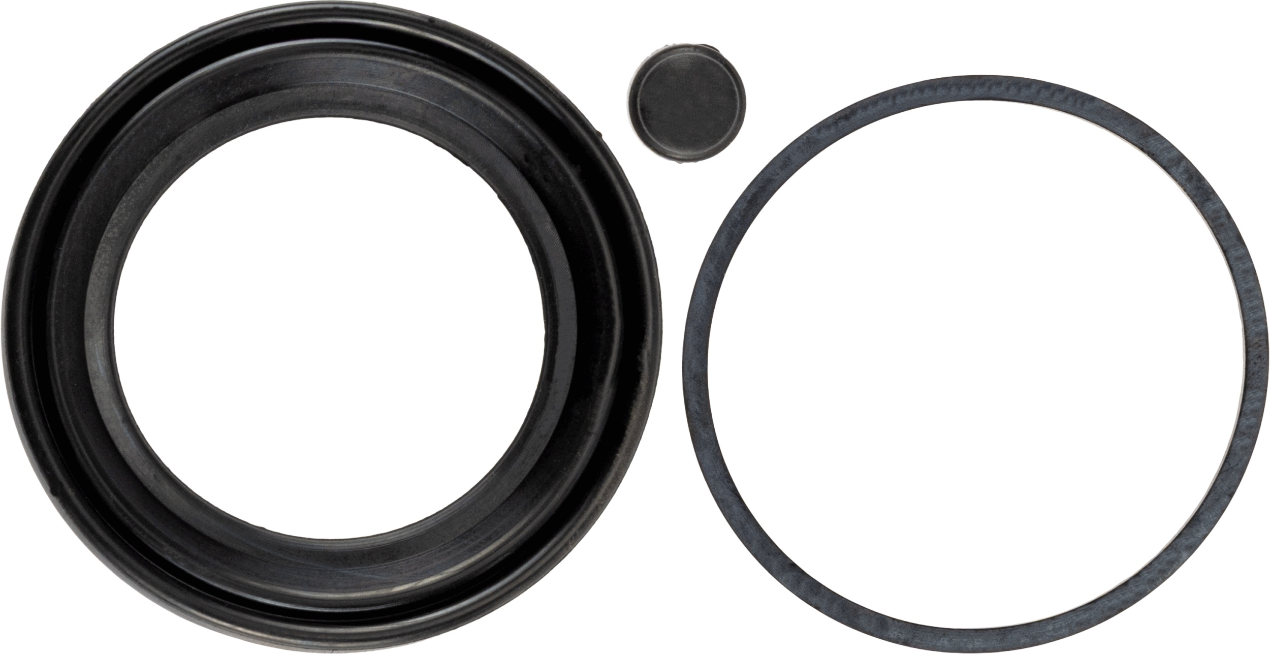 Remklauw revisie TRW SJ1481