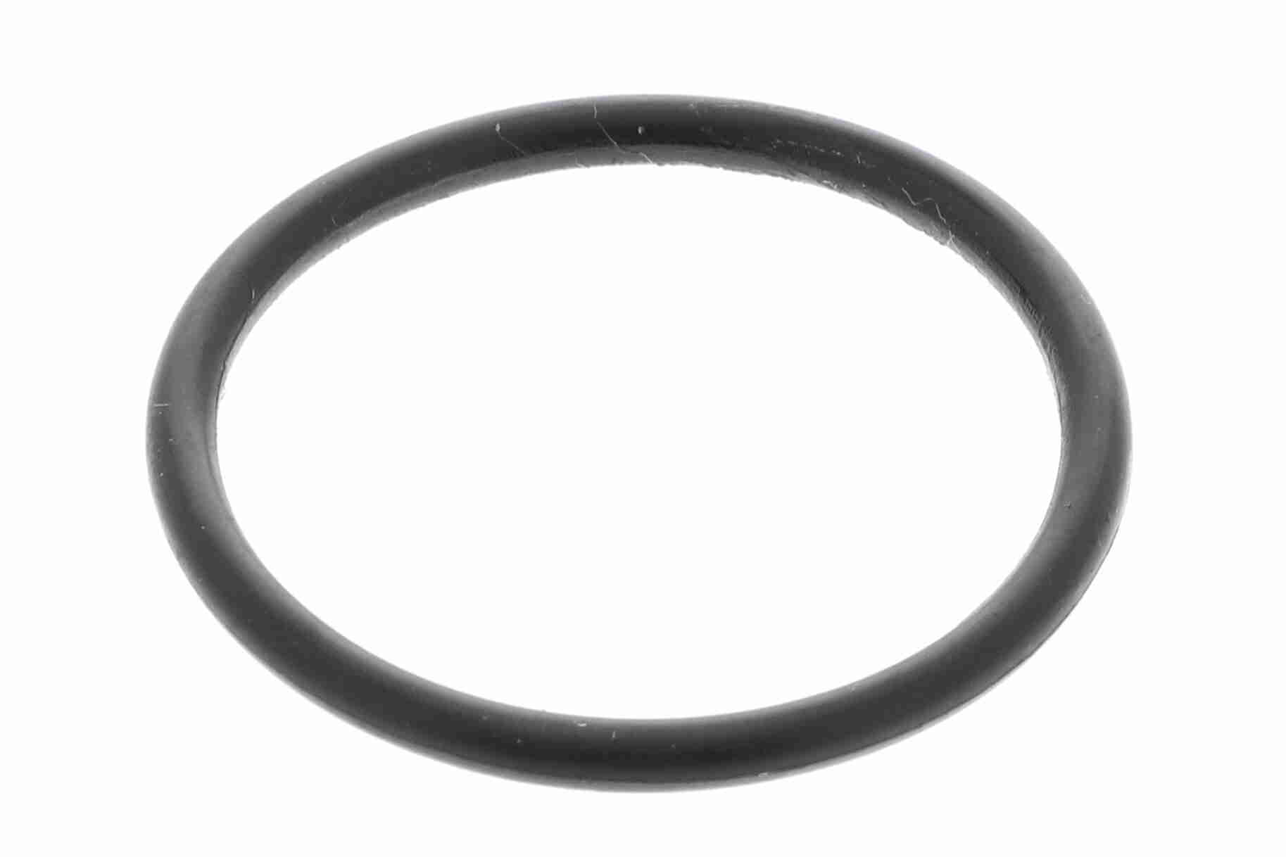 Vaico Filter/oliezeef automaatbak V10-1781