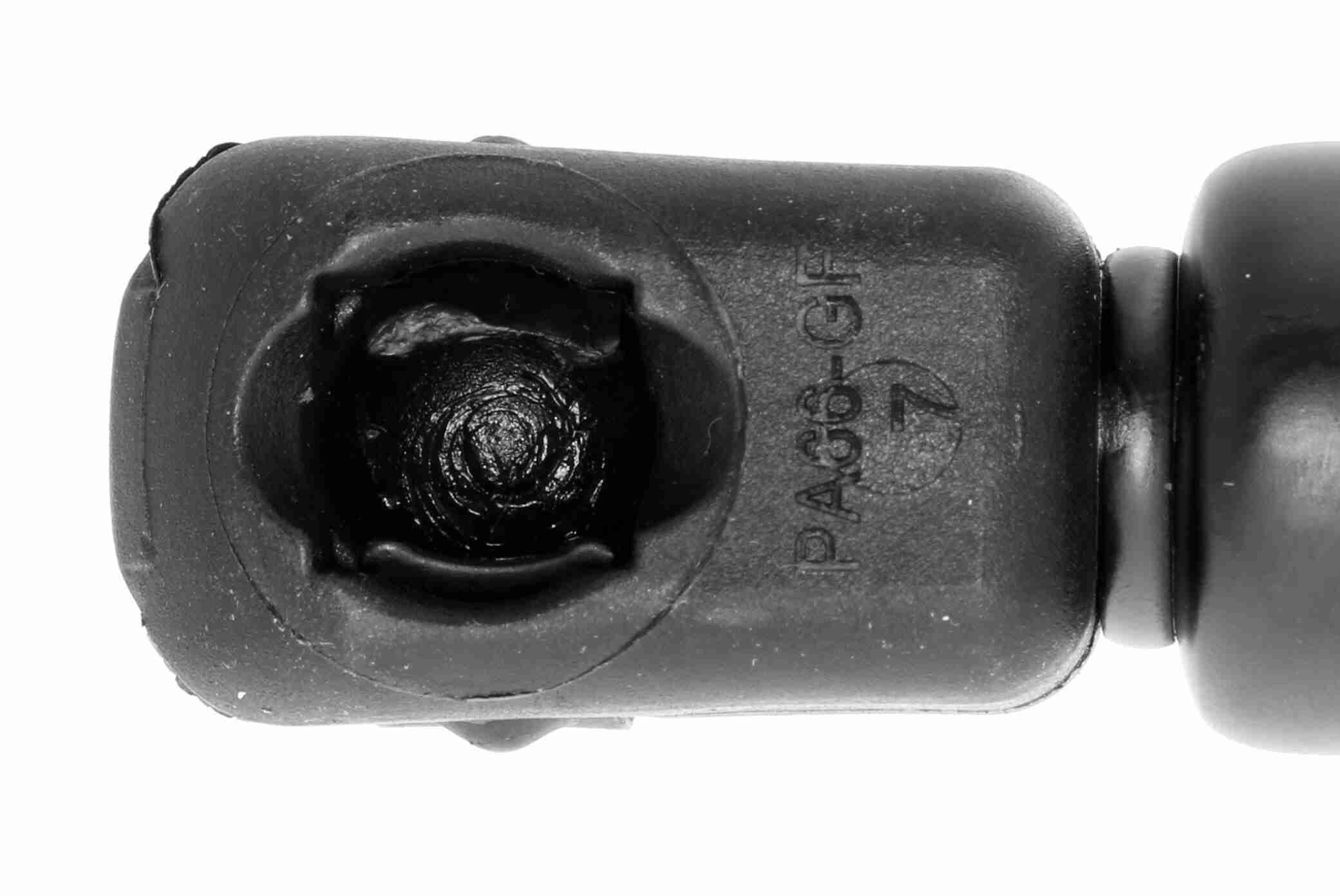 Vaico Gasveer, kofferruimte V10-1945