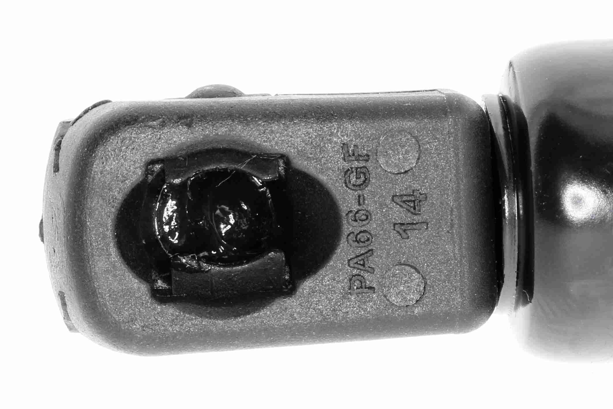 Vaico Gasveer, kofferruimte V10-1946