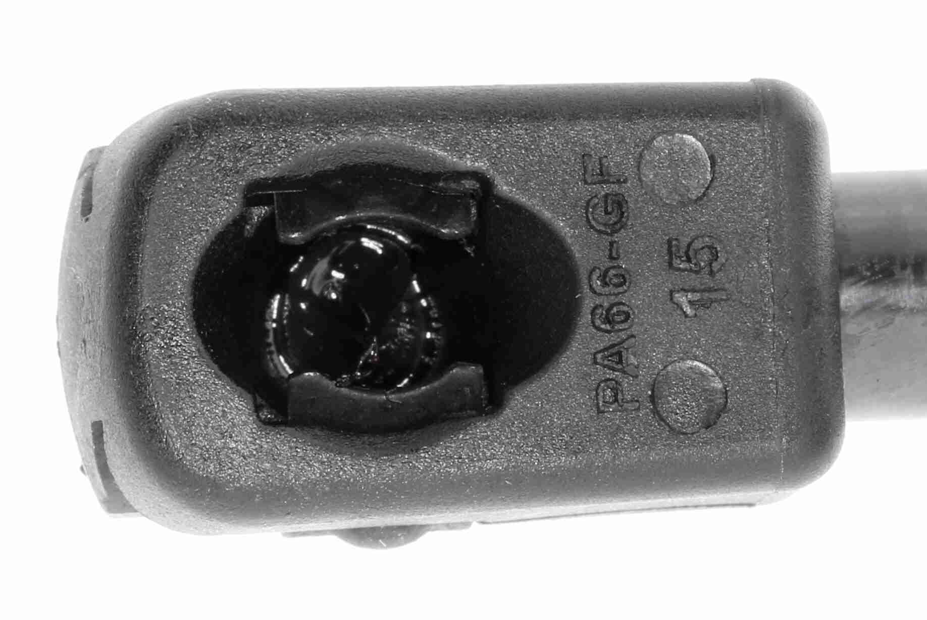 Vaico Gasveer, kofferruimte V10-1946