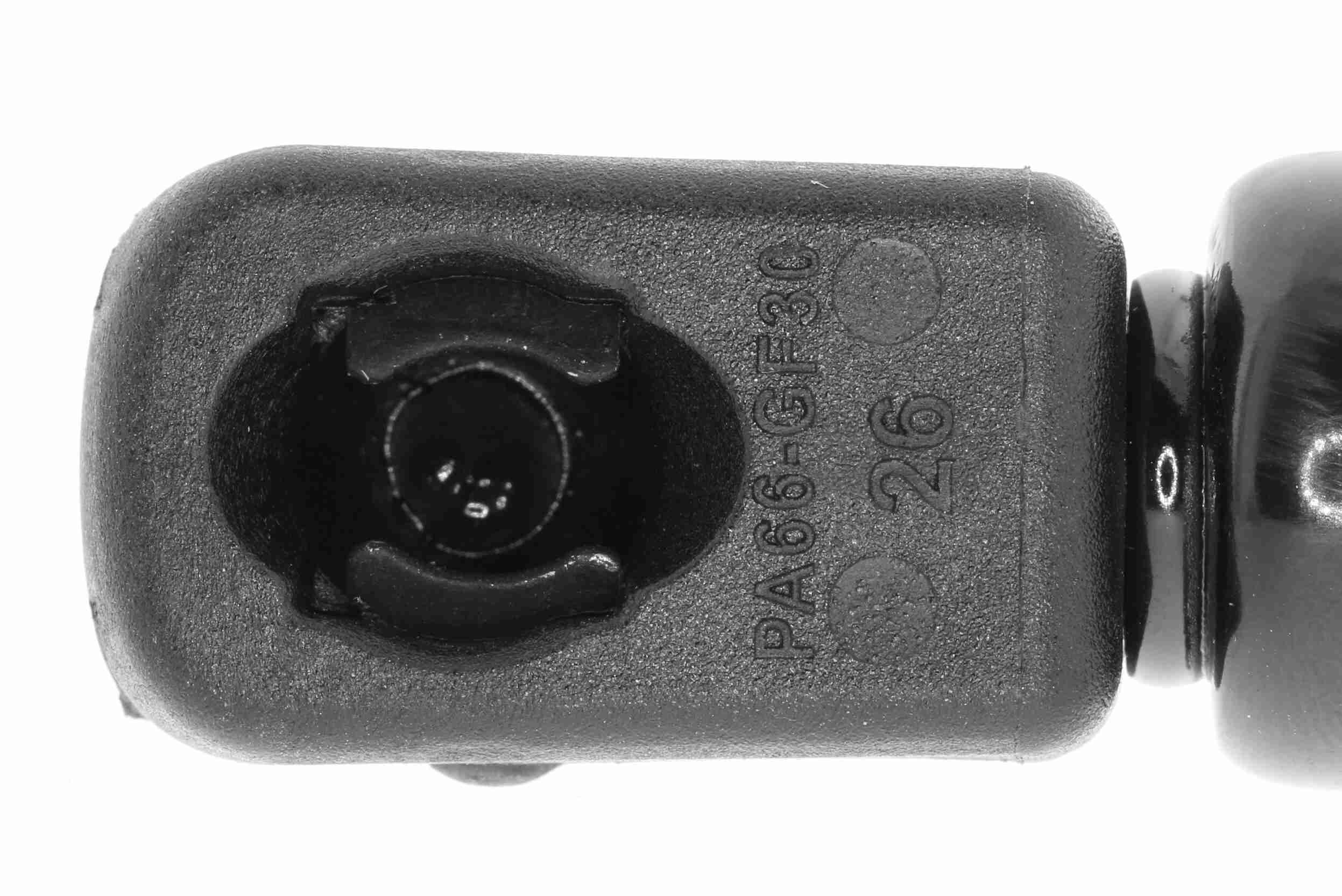 Vaico Gasveer, kofferruimte V10-1948