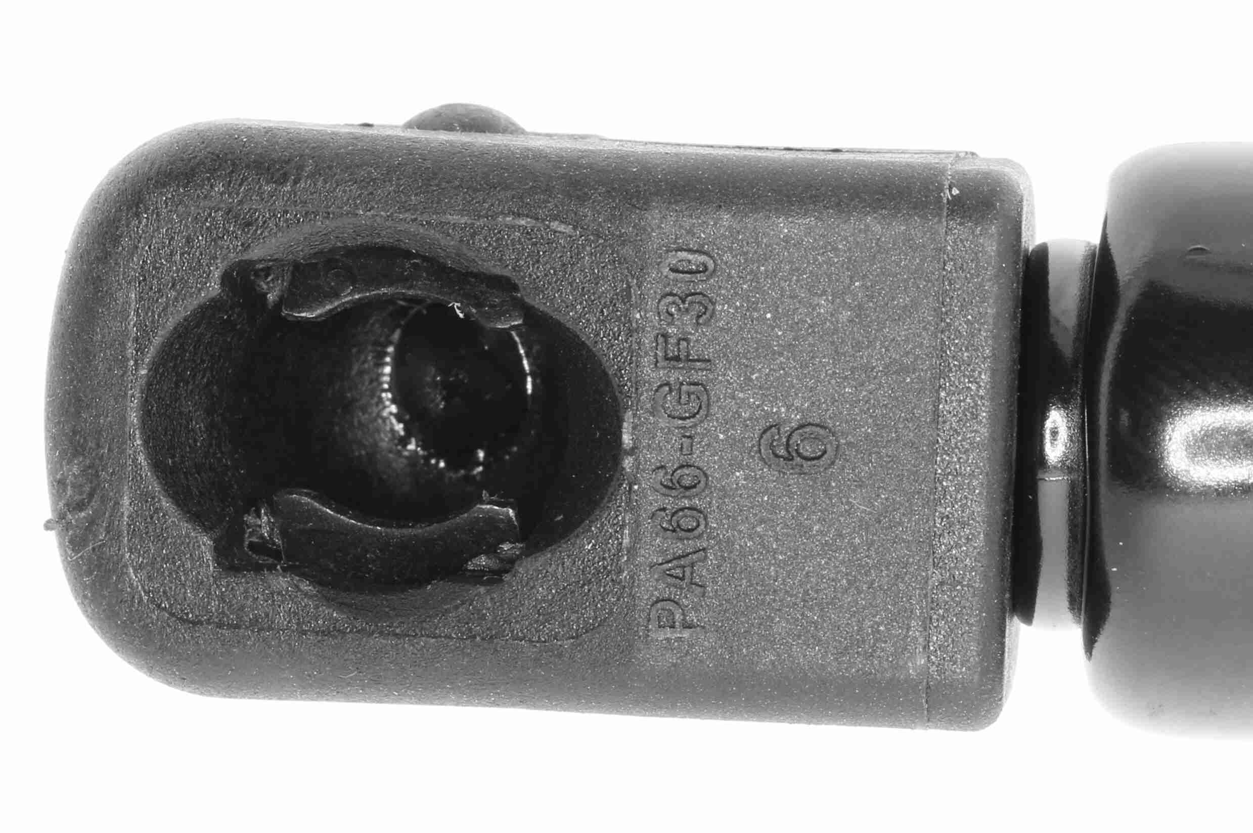 Vaico Gasveer, kofferruimte V10-1950