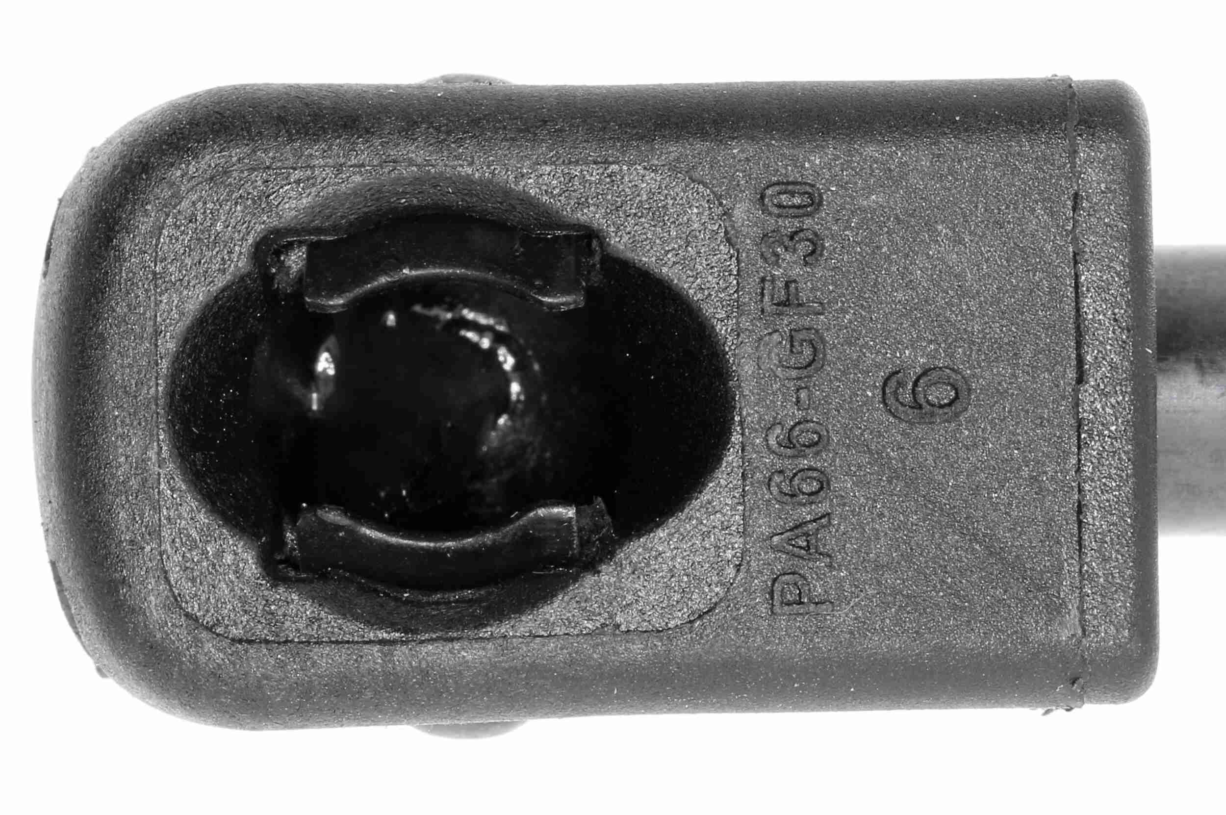 Vaico Gasveer, kofferruimte V10-1955
