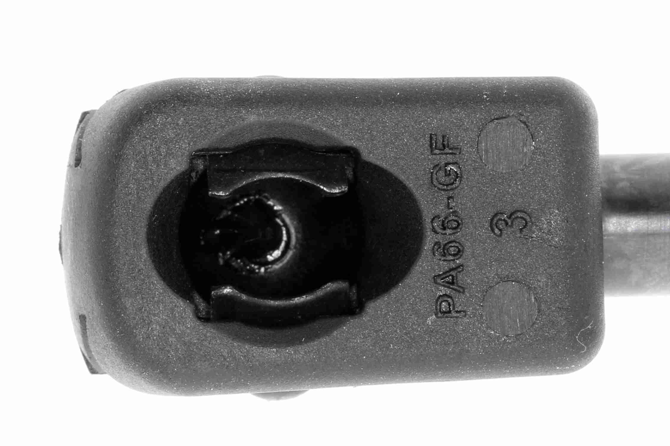 Vaico Gasveer, kofferruimte V10-1958
