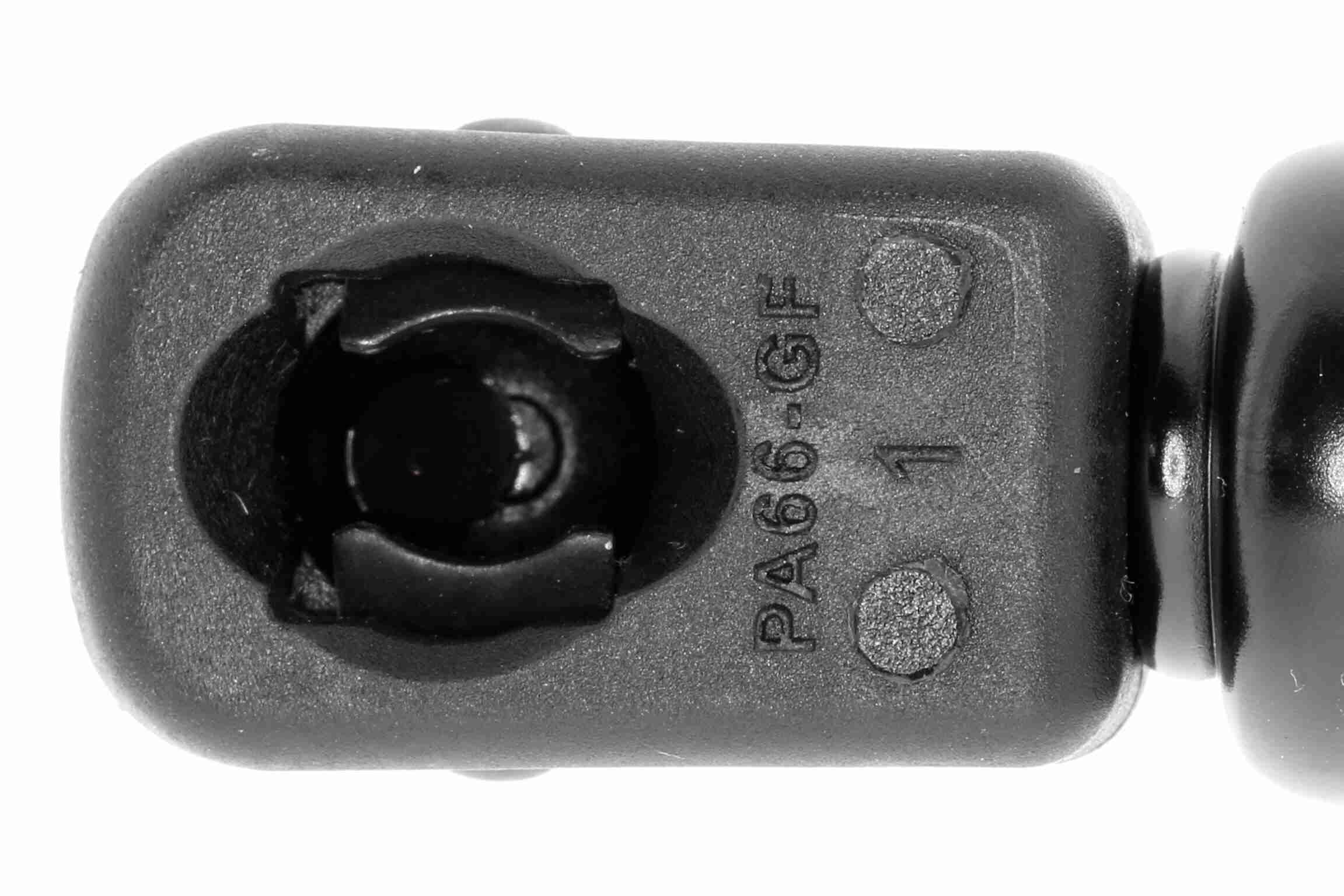 Vaico Gasveer, kofferruimte V10-1960
