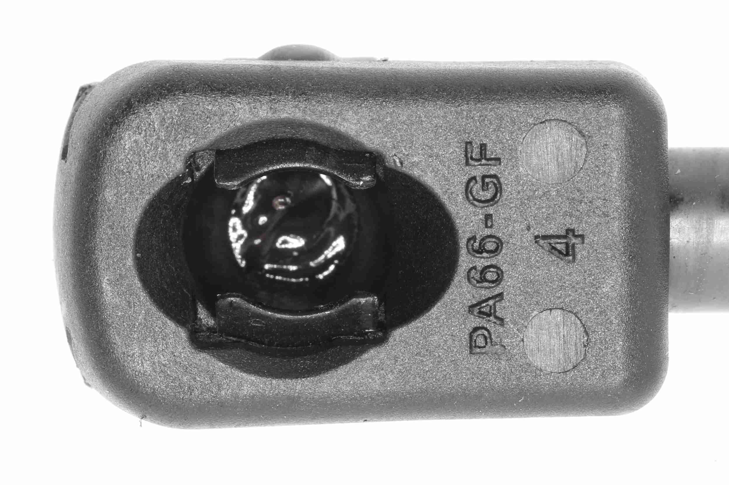 Vaico Gasveer, kofferruimte V10-1961