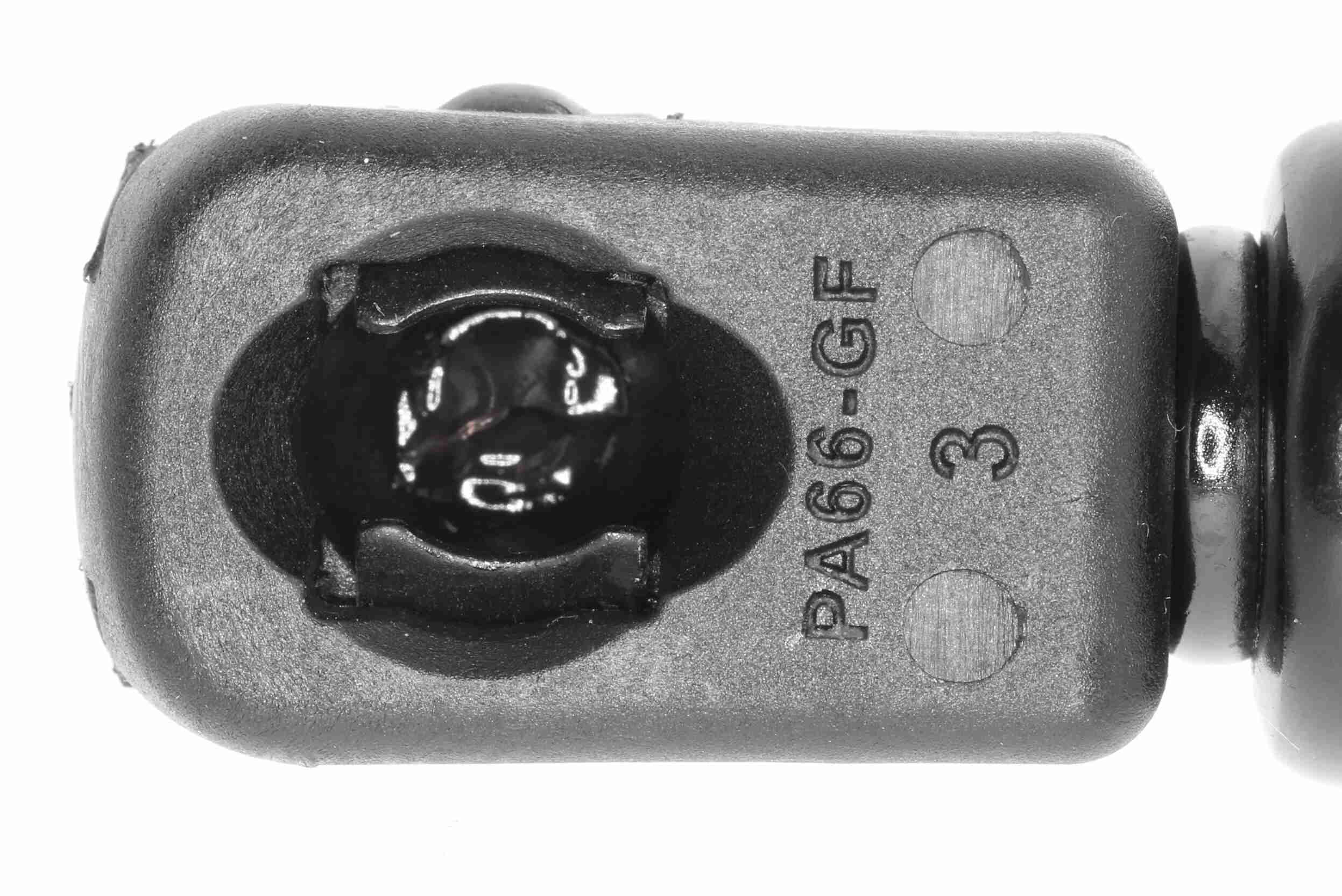 Vaico Gasveer, kofferruimte V10-1961