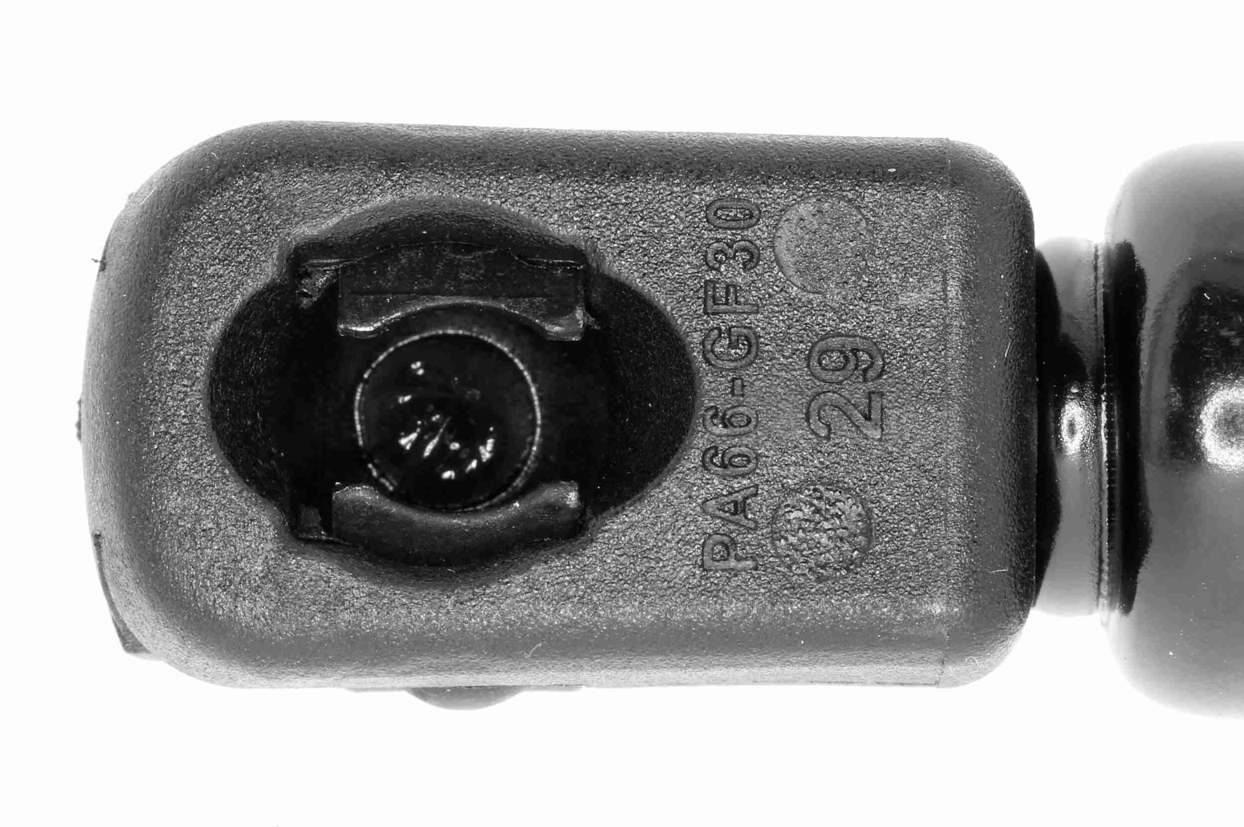 Vaico Gasveer, kofferruimte V10-1963
