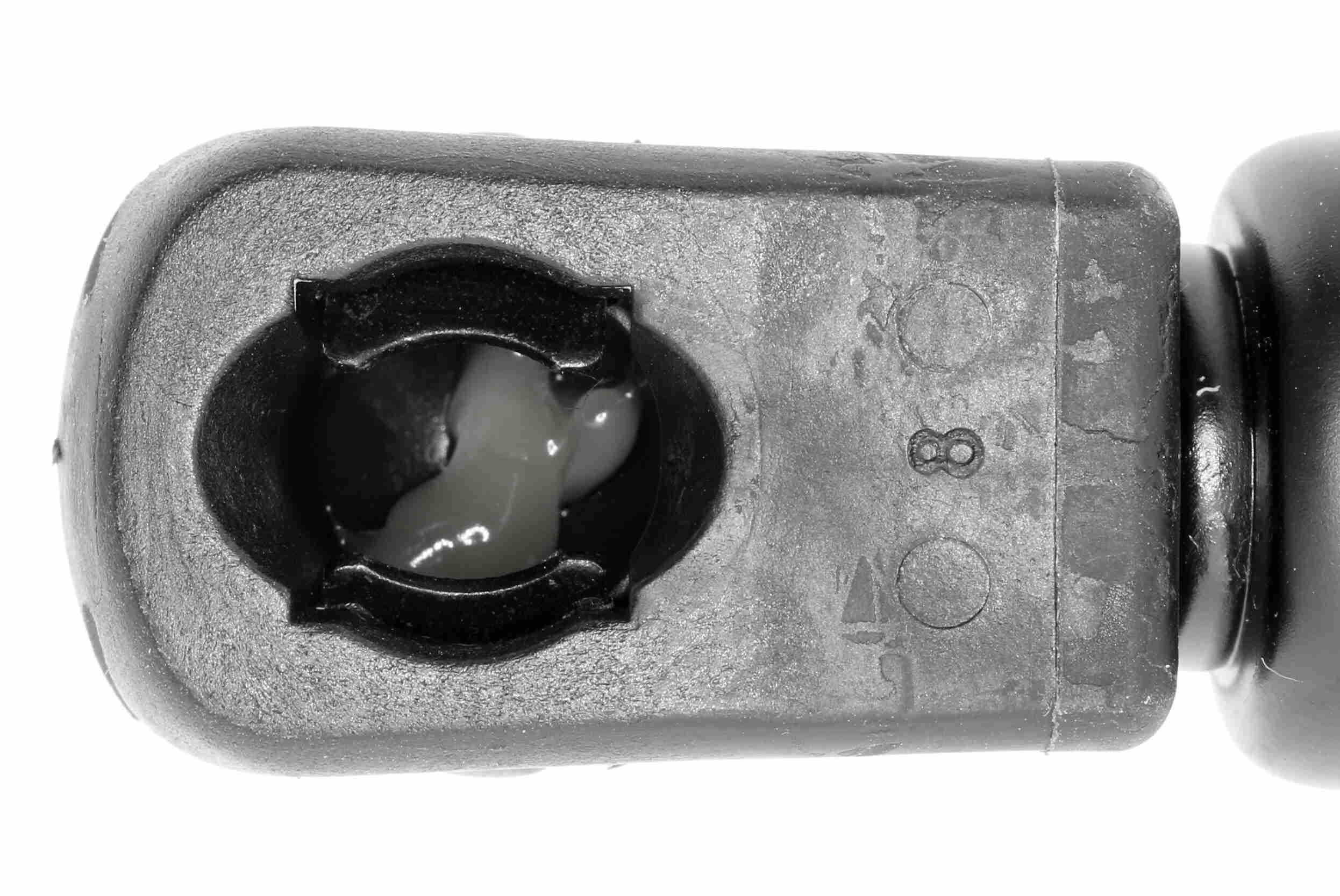 Vaico Gasveer, motorkap V10-1973