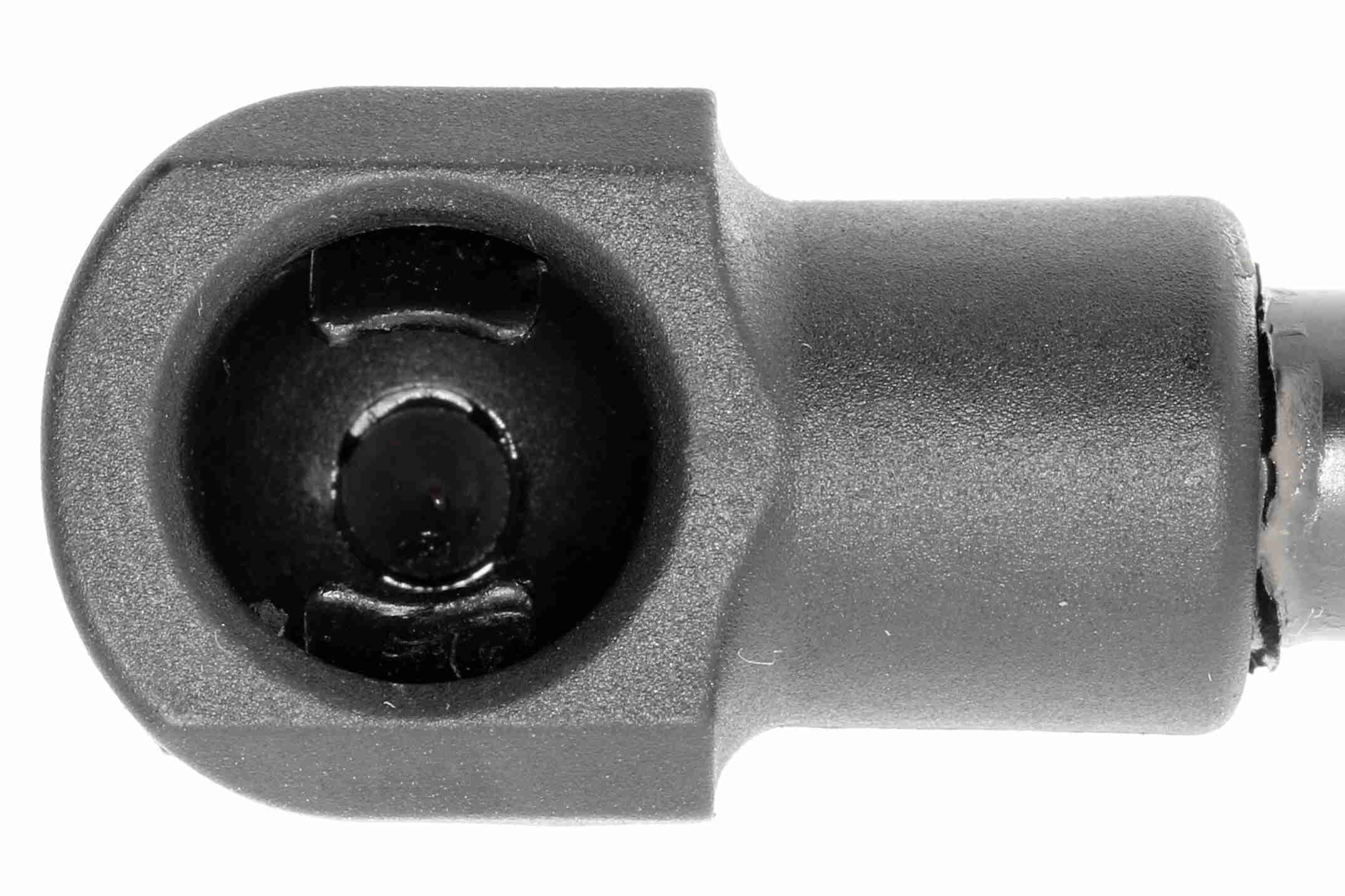Vaico Gasveer, motorkap V10-1973