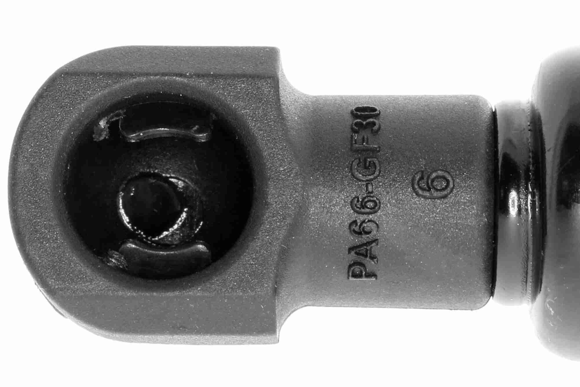 Vaico Gasveer, kofferruimte V10-1976