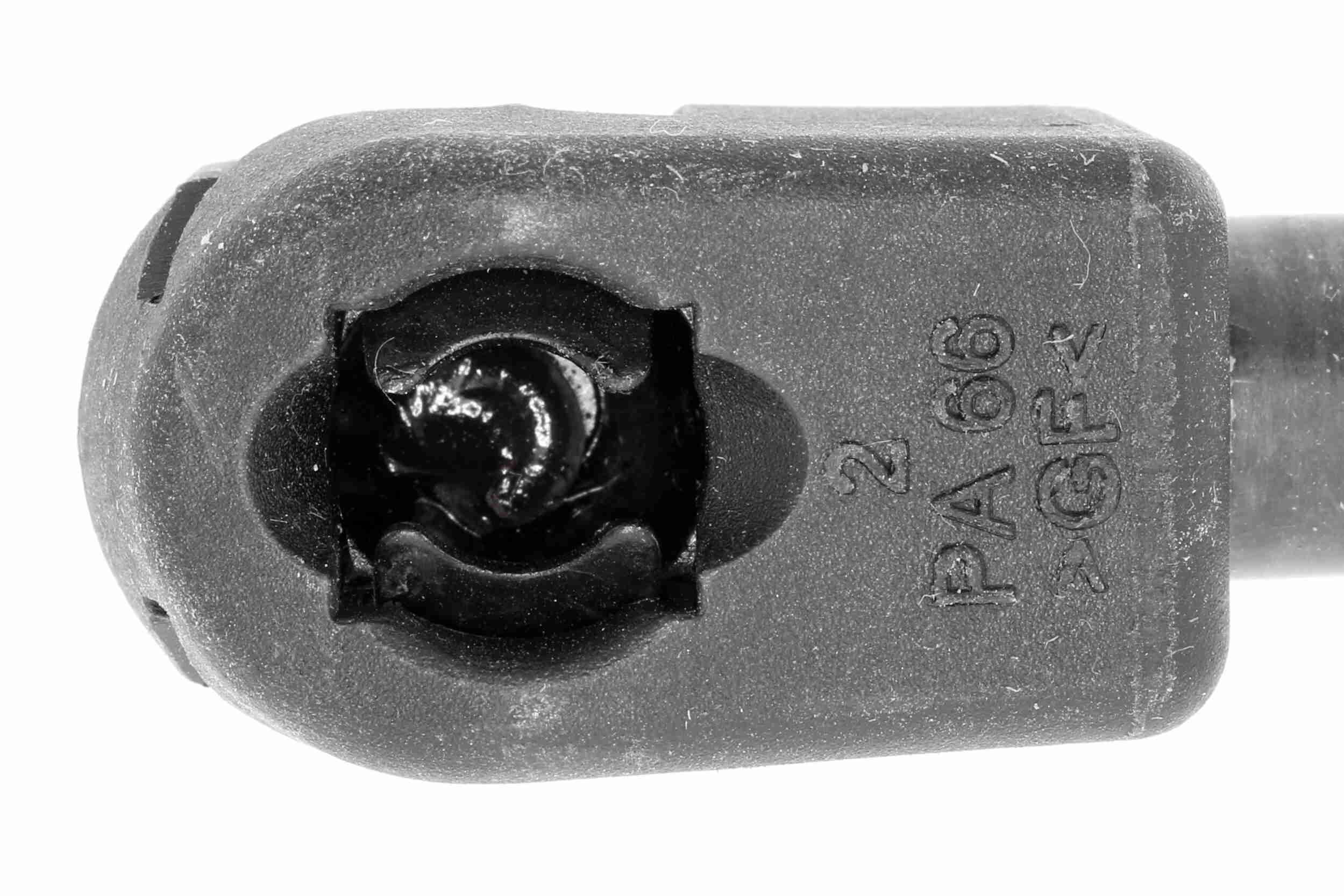 Vaico Gasveer, kofferruimte V10-1988