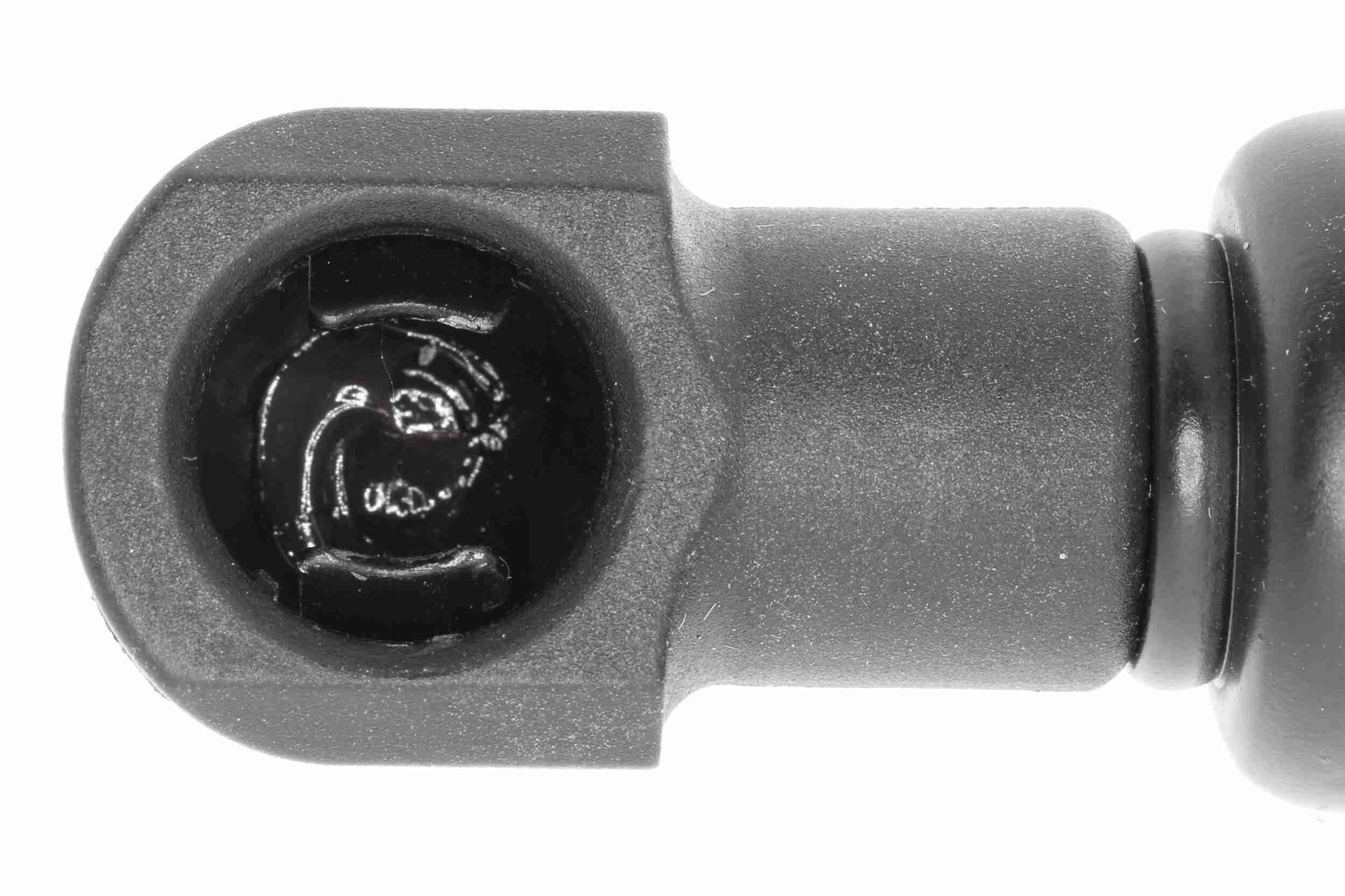 Vaico Gasveer, motorkap V10-1995