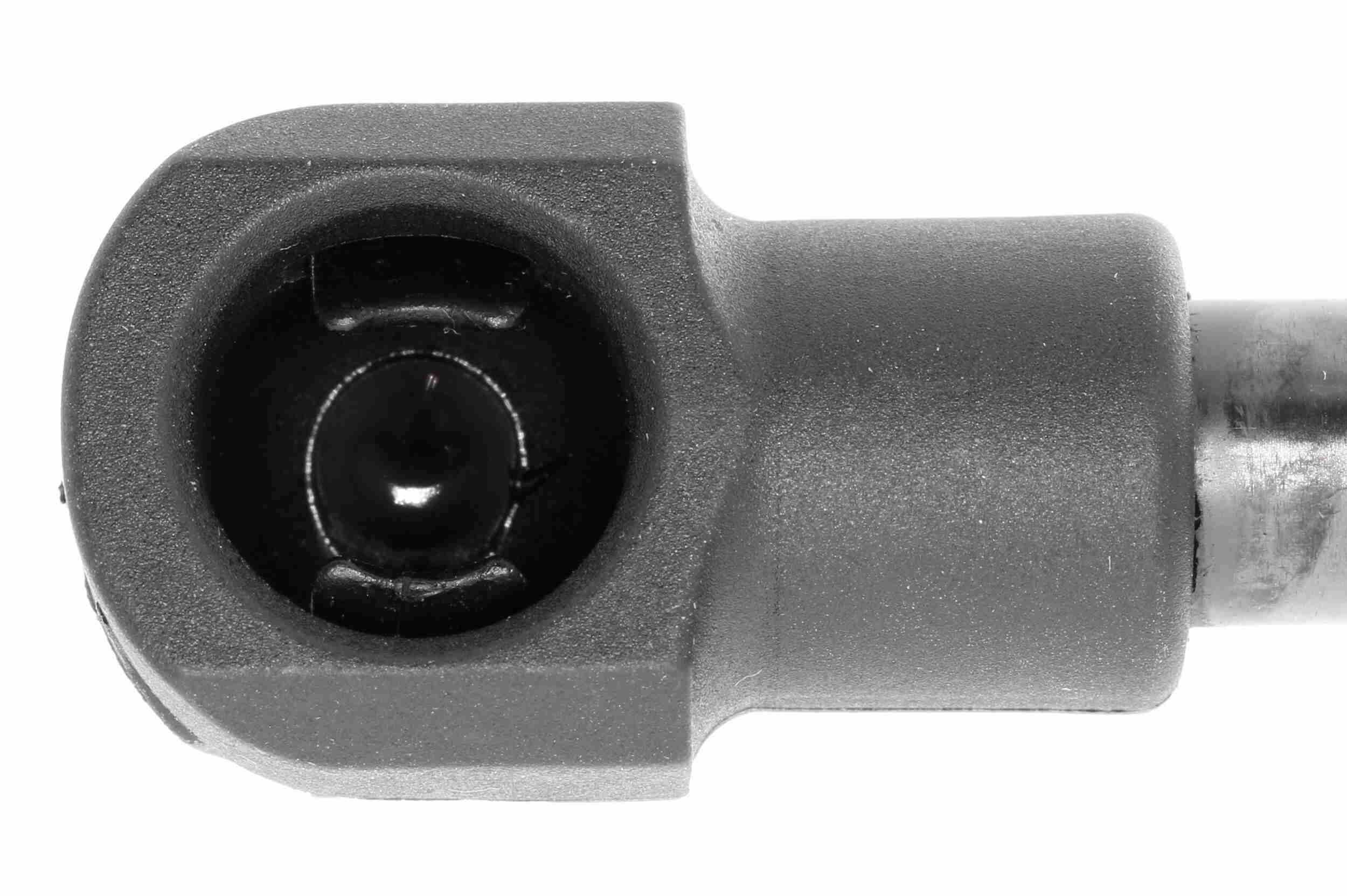 Vaico Gasveer, motorkap V10-1995