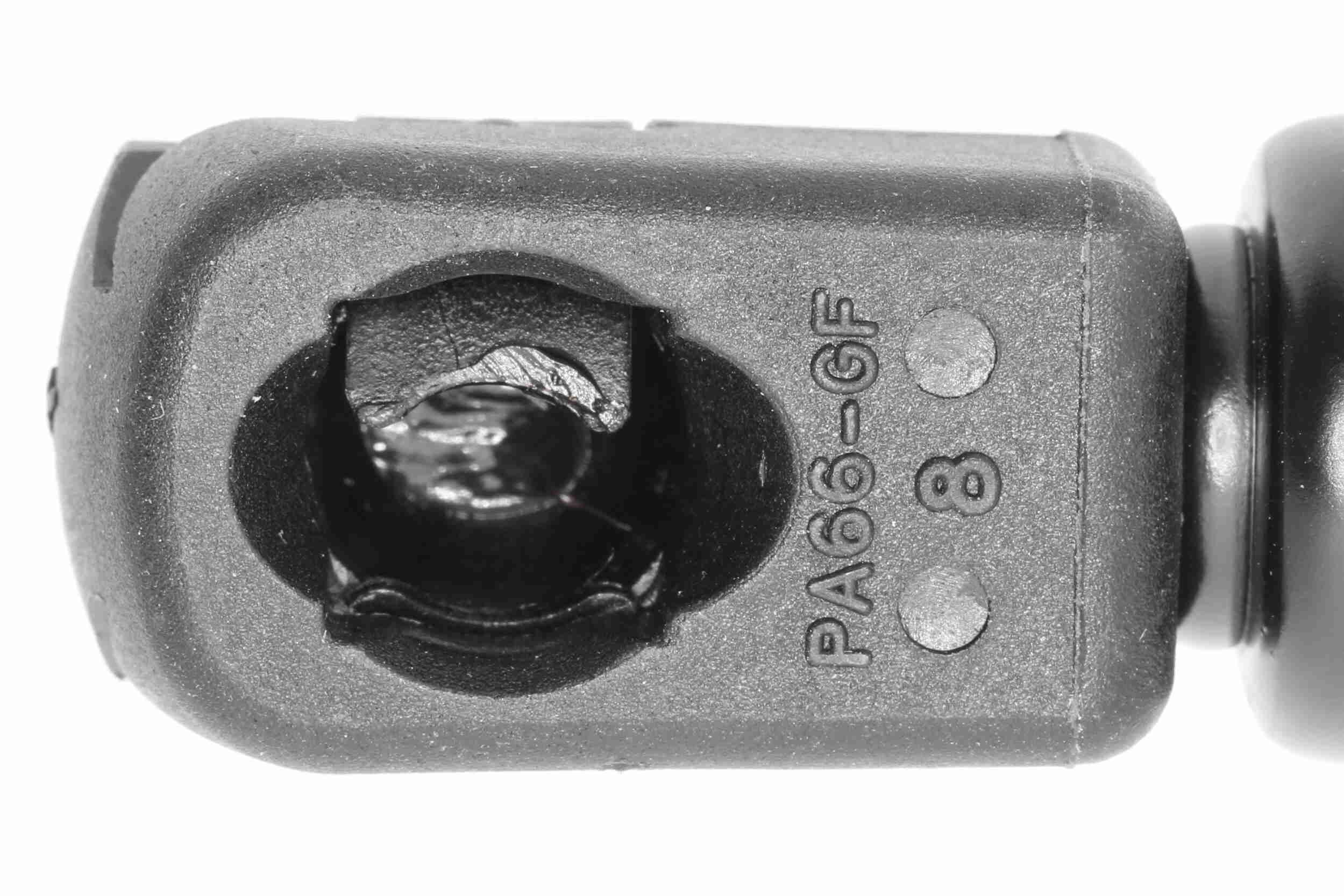 Vaico Gasveer, kofferruimte V10-1998