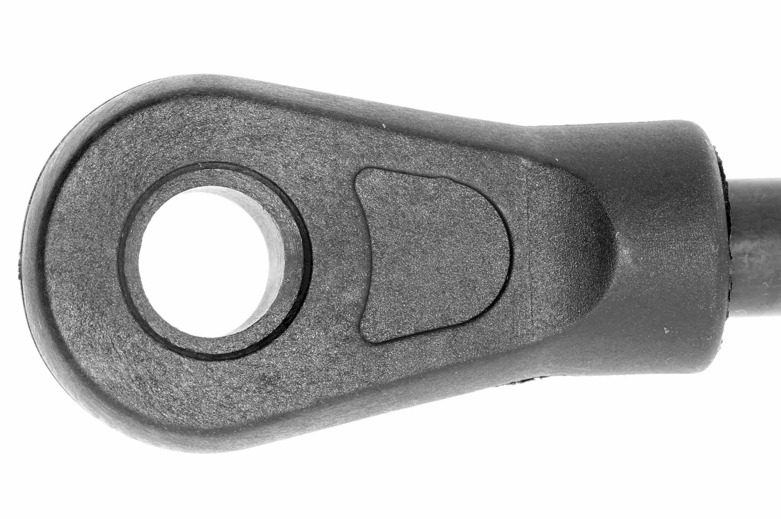 Vaico Gasveer, motorkap V10-2071