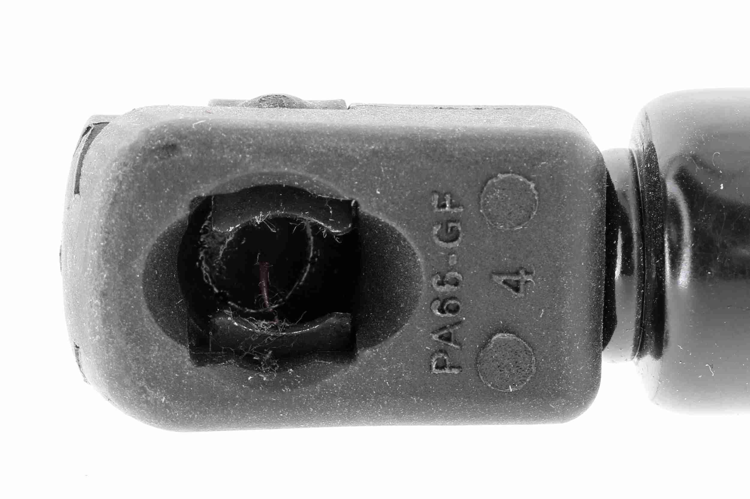 Vaico Gasveer, motorkap V10-2073