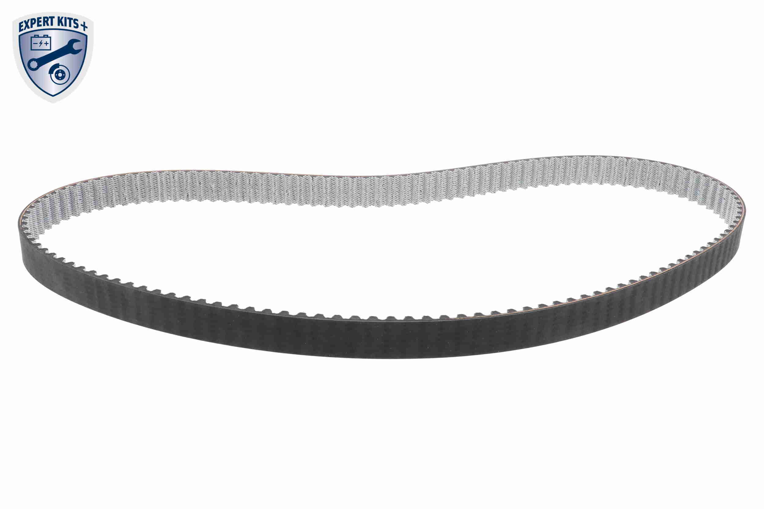 Vaico Distributieriem kit inclusief waterpomp V10-50109