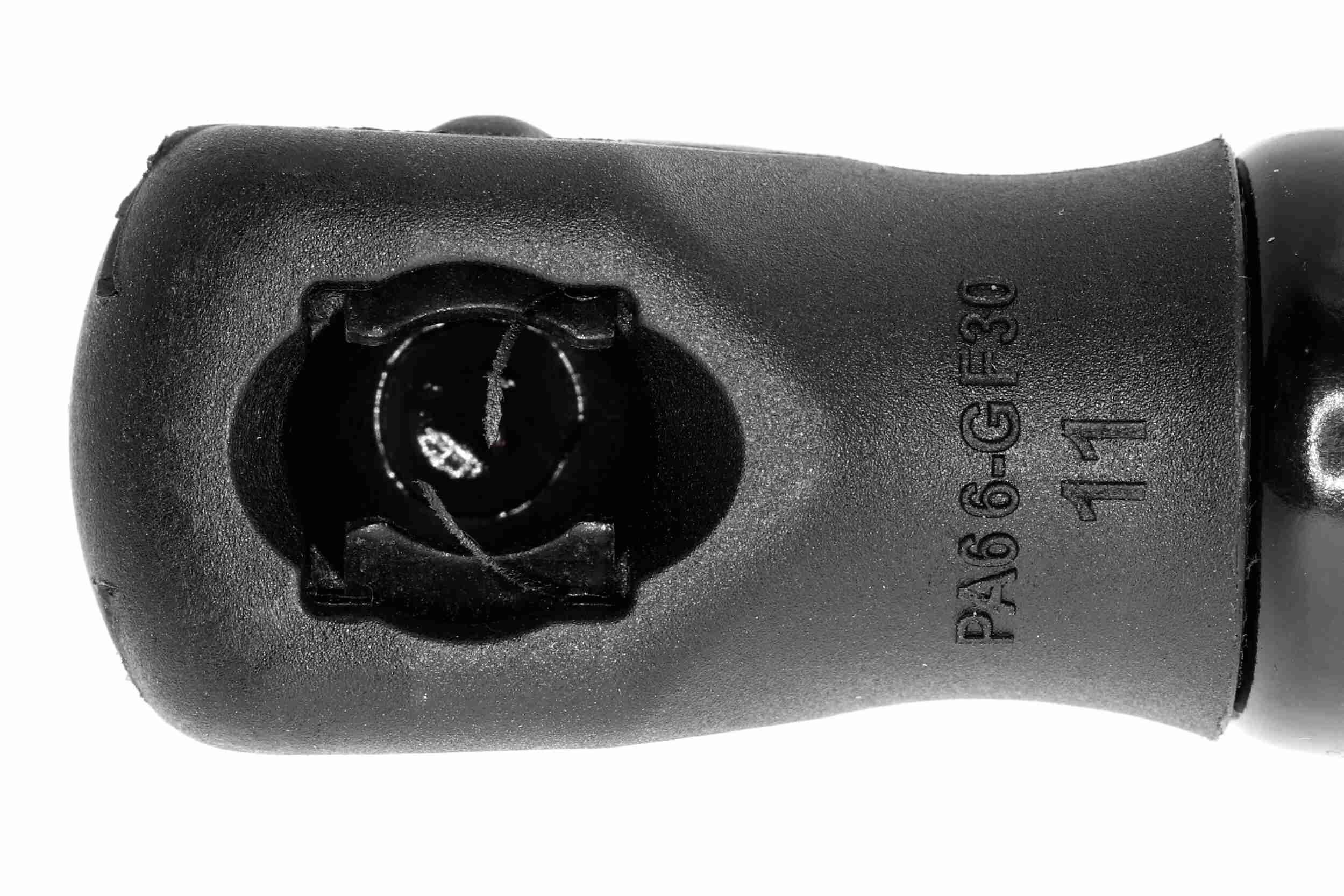 Vaico Gasveer, motorkap V10-3983