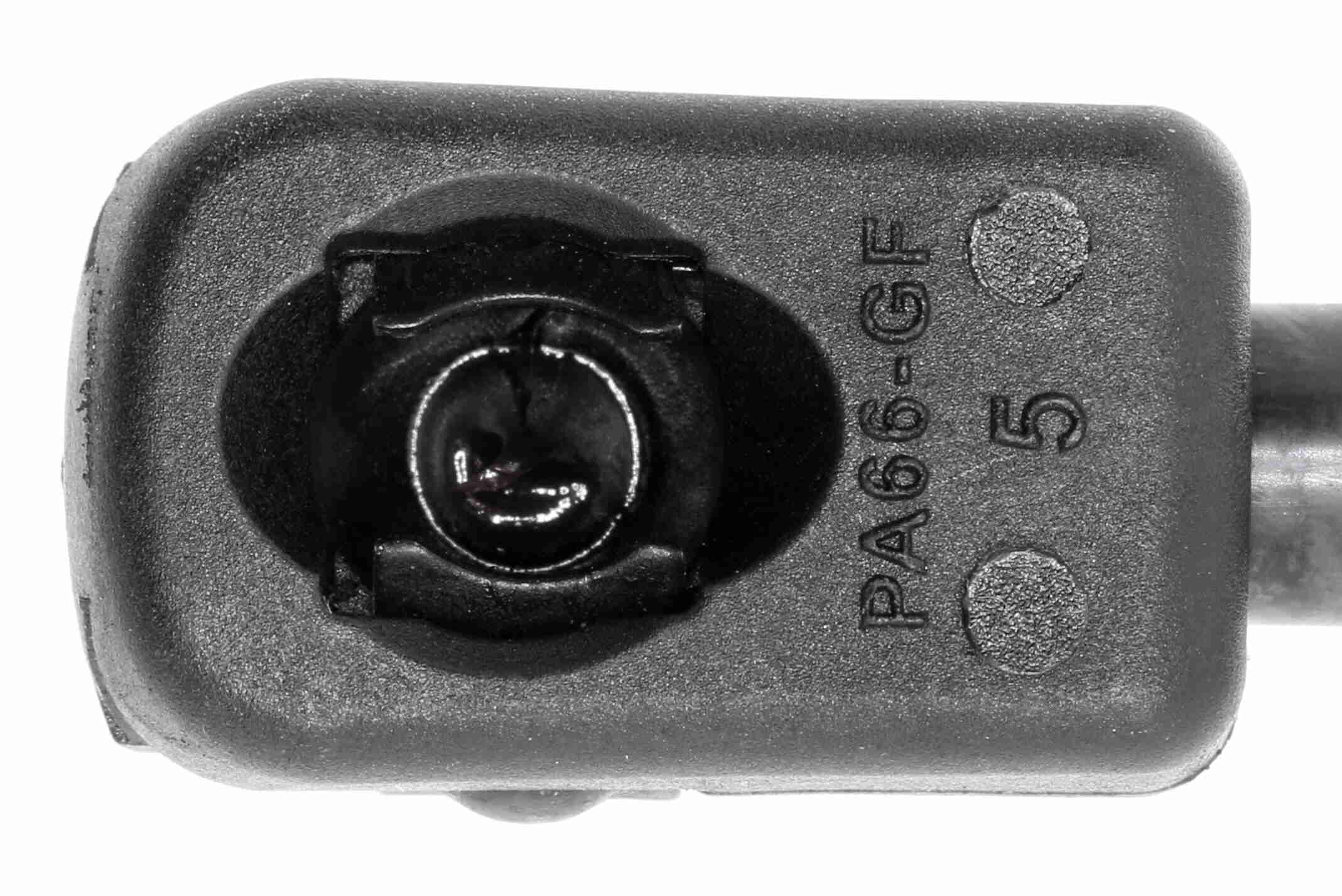 Vaico Gasveer, motorkap V10-3987