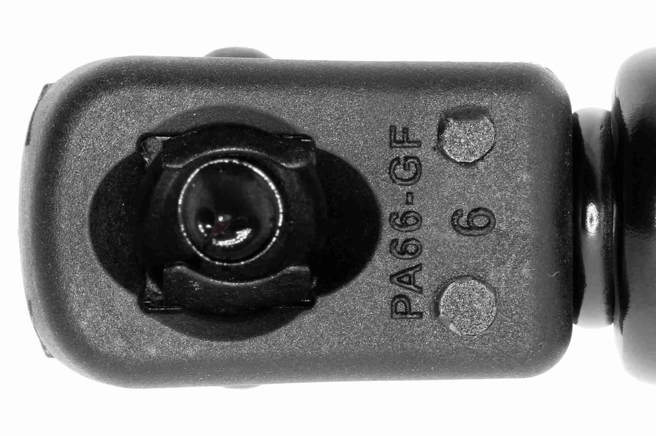 Vaico Gasveer, motorkap V10-3987