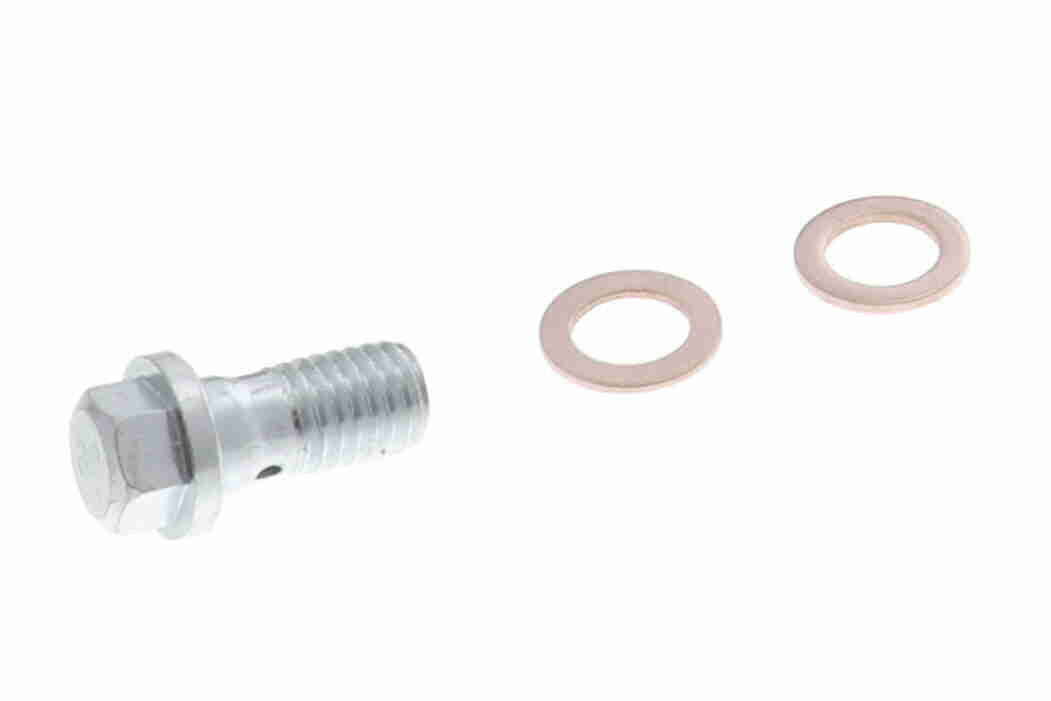 Vaico Remslang V10-4202