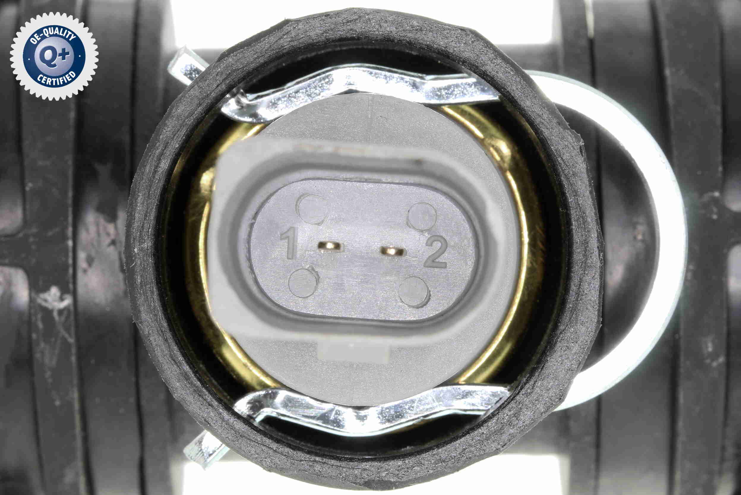 Vaico Radiateurslang V10-4835