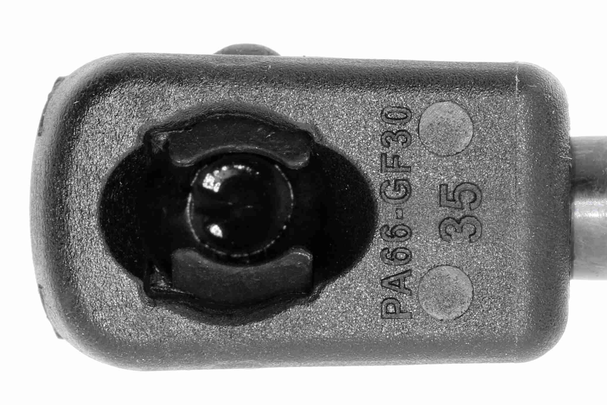 Vaico Gasveer, motorkap V20-0988