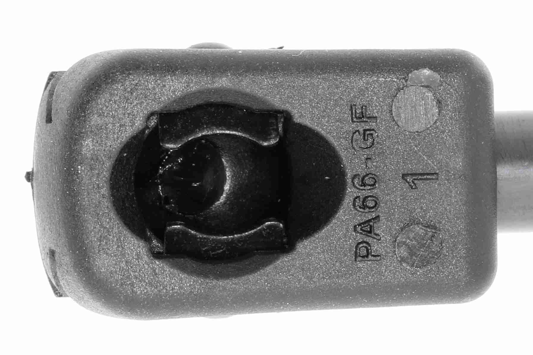 Vaico Gasveer, kofferruimte V20-0991