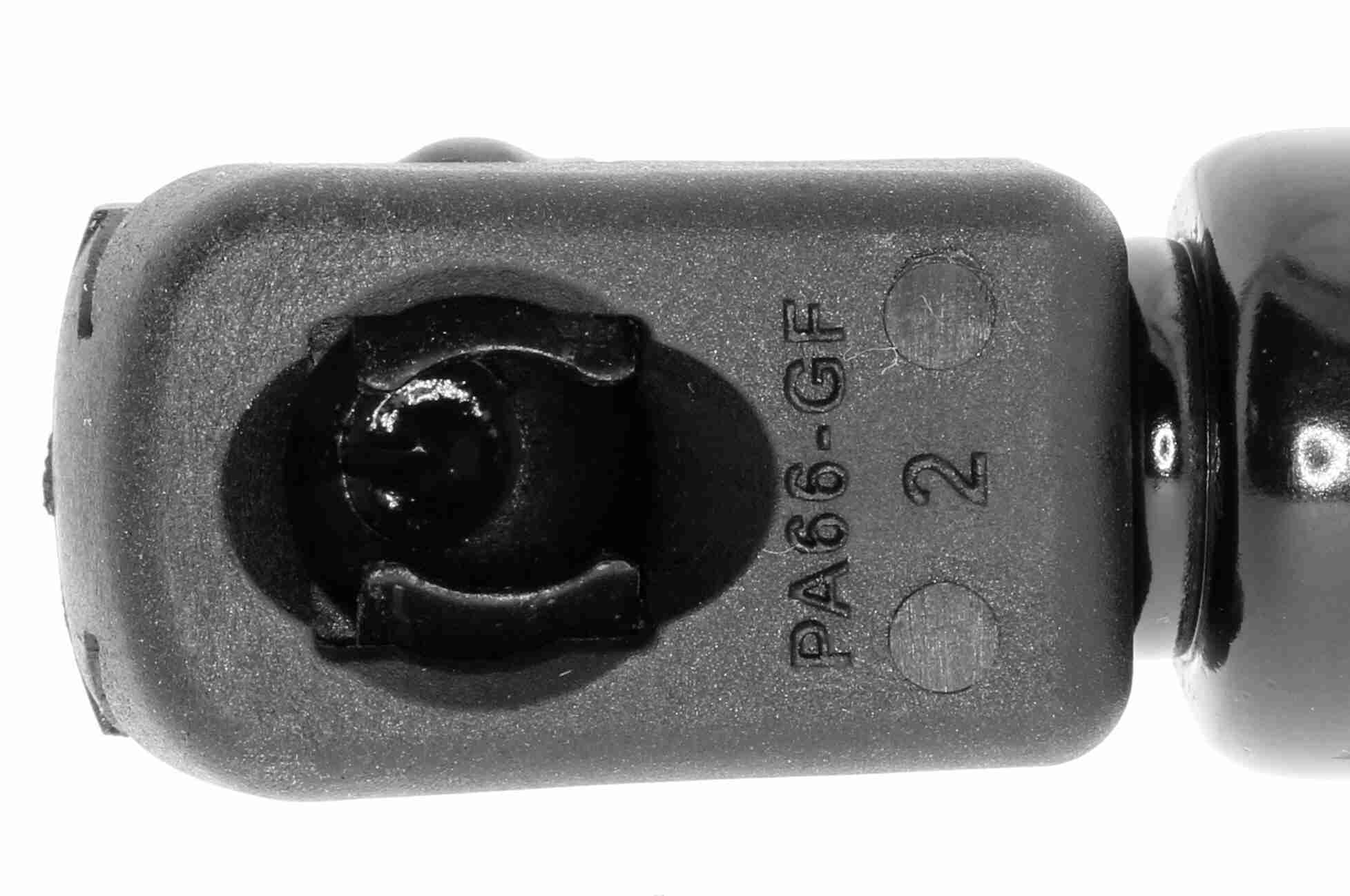 Vaico Gasveer, kofferruimte V20-0991