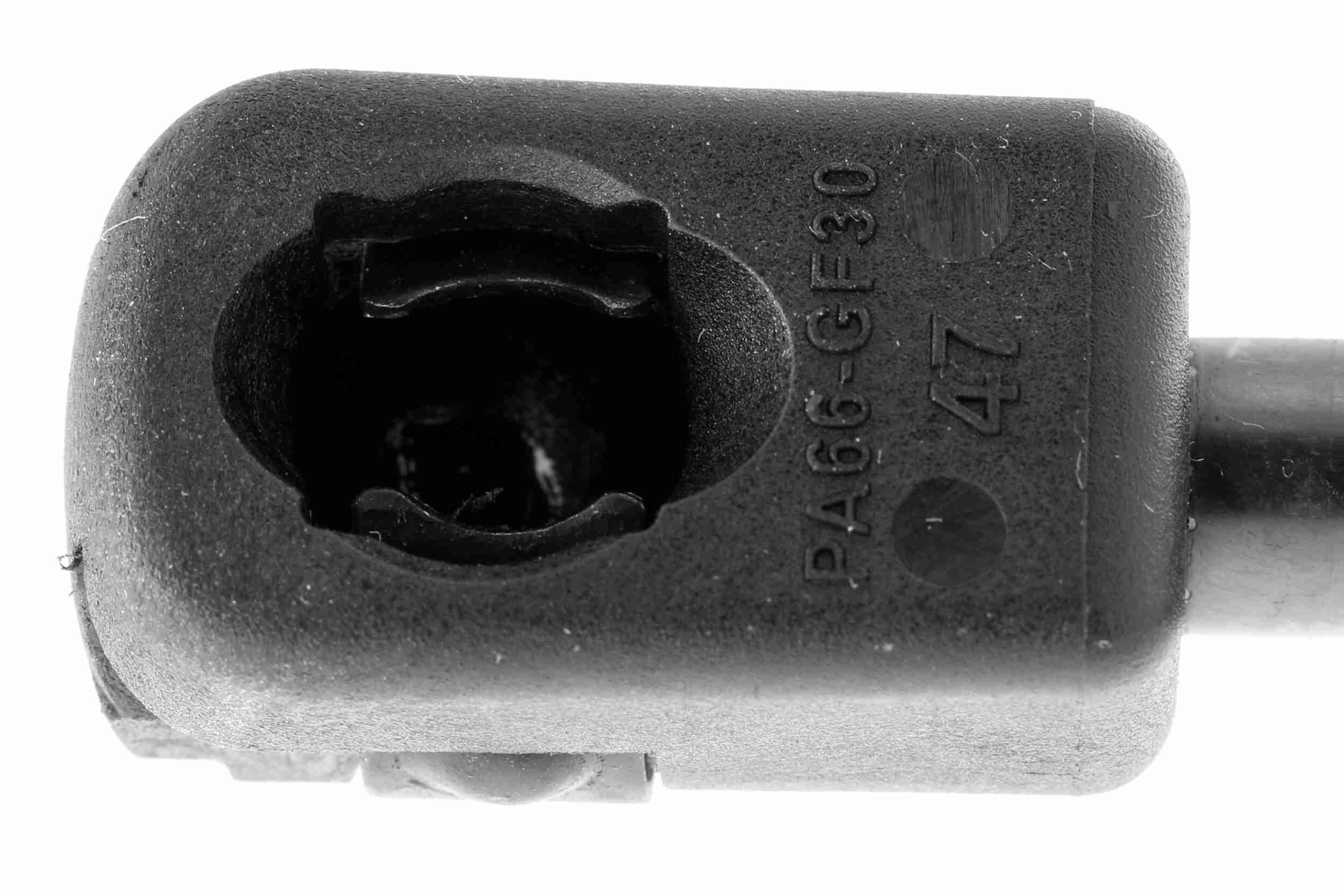 Vaico Gasveer, kofferruimte V20-0992