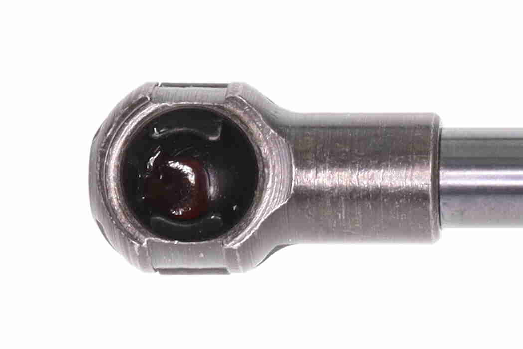 Vaico Gasveer, kofferruimte V20-1005