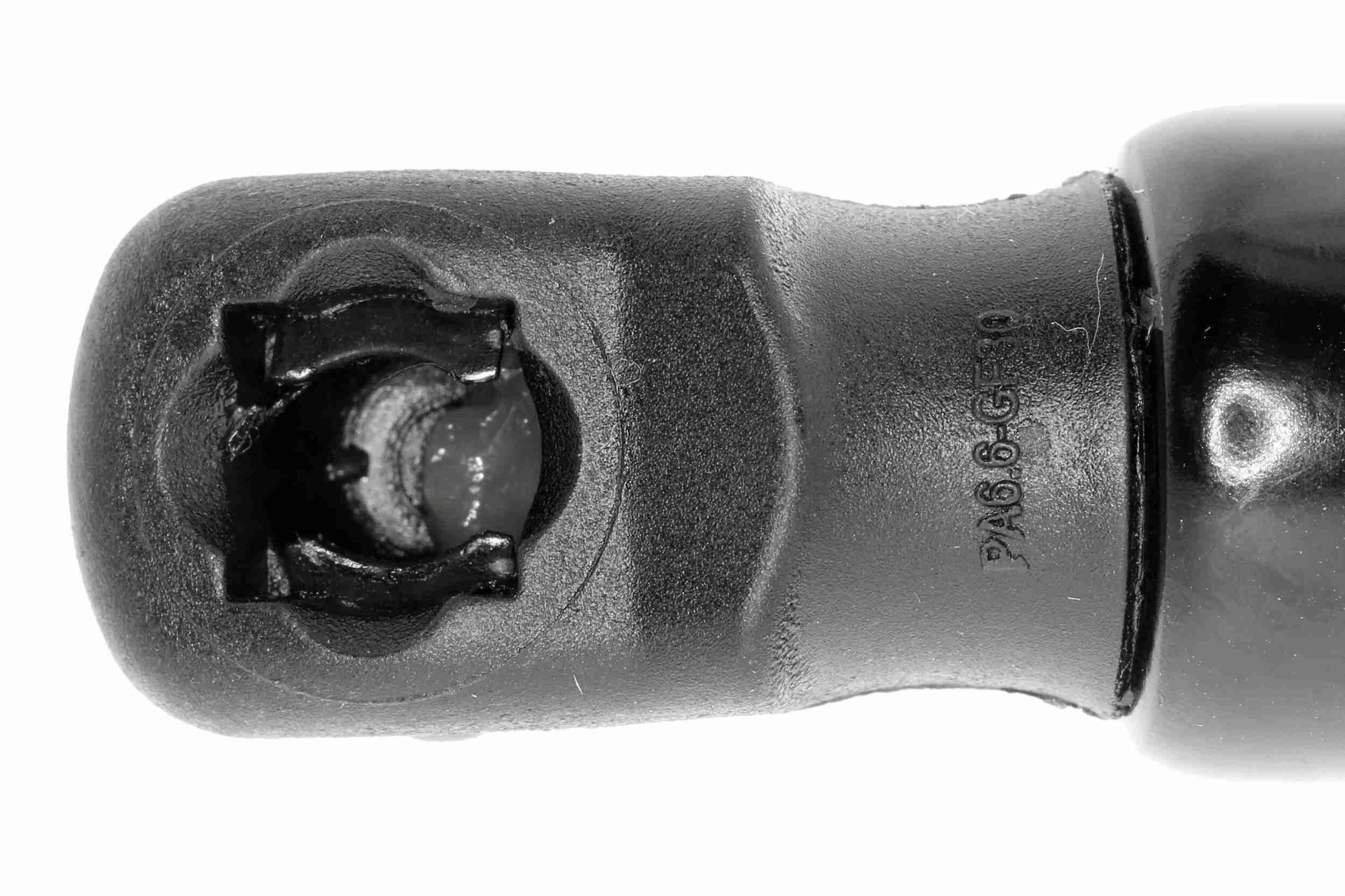 Vaico Gasveer, motorkap V20-1013