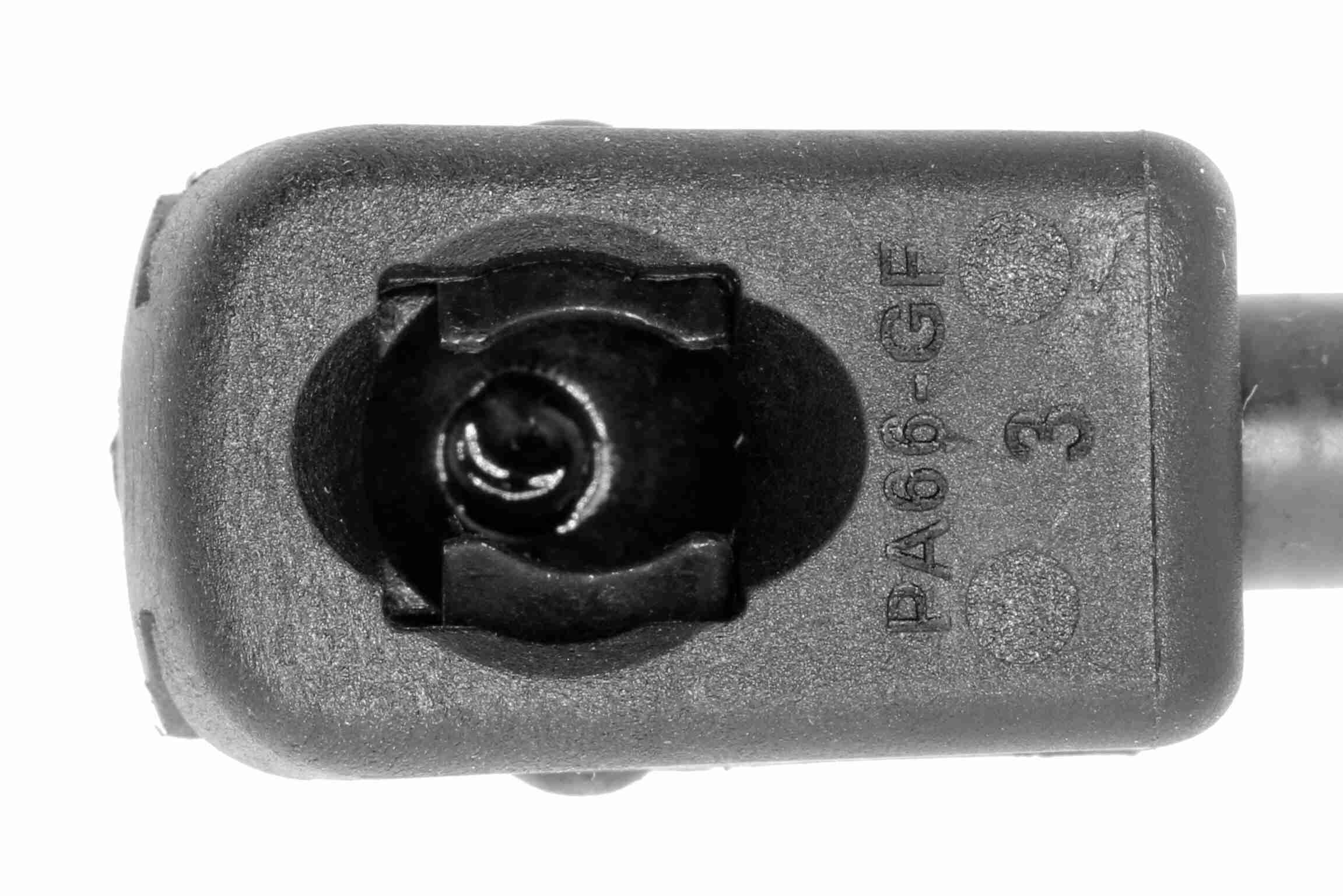 Vaico Gasveer, motorkap V20-2836